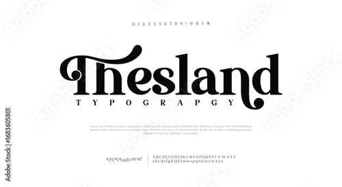 Elegant wedding alphabet letters logo font and number. Typography Luxury classic lettering serif fonts decorative vintage retro concept. vector illustration