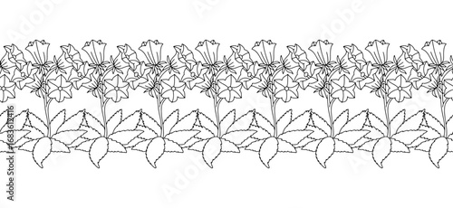 Stripe pattern with black and white line art canary islands flowers bellflower. Floral horizontal seamless border with monochrome hand drawn millefleur