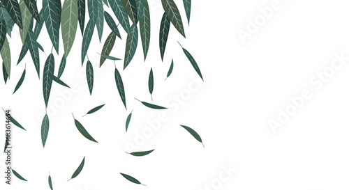 Elegant falling willow leaves gentle breeze soft greenery natural beauty refreshing springtime foliage serene outdoor ambiance tranquil nature scene