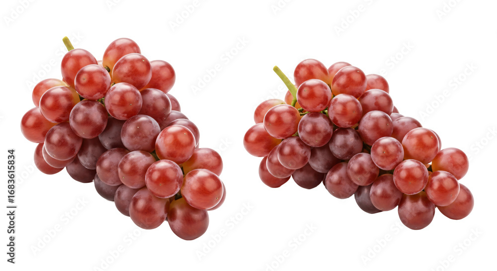 Obraz premium Two fresh bunches of ripe red seedless grapes with stems isolated on a white background.