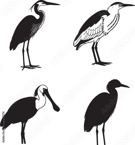 Black and white vector illustration featuring a collection of different bird species in silhouette form