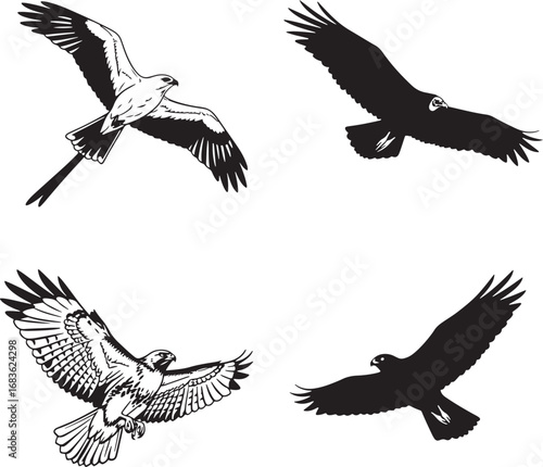 Collection of bird of prey flight illustrations in black and white designs