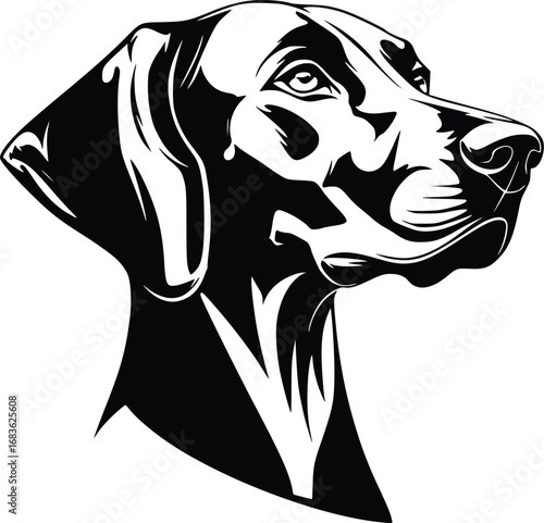 Weimaraner head silhouette with sleek fur, long ears, and focused gaze in black vector design