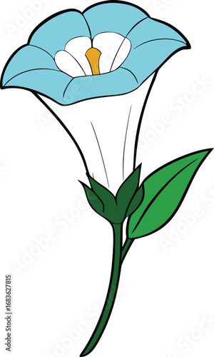 Datura flower vector illustration scalable botanical graphic eps file transparent background