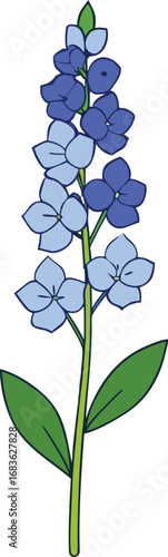 Delphinium flower vector illustration botanical art scalable eps transparent background