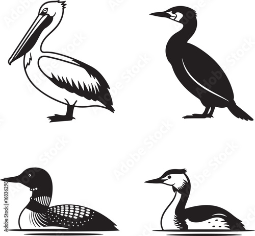 Collection of stylized water bird illustrations including pelican cormorant loon and grebe in black and white