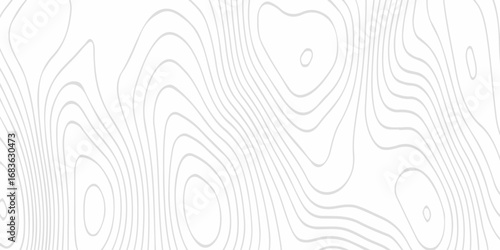 Contour abstract map relief land outline. Topographic map patterns. White wave paper curved reliefs abstract background. Background of the topography map. Abstract pattern with lines.	
