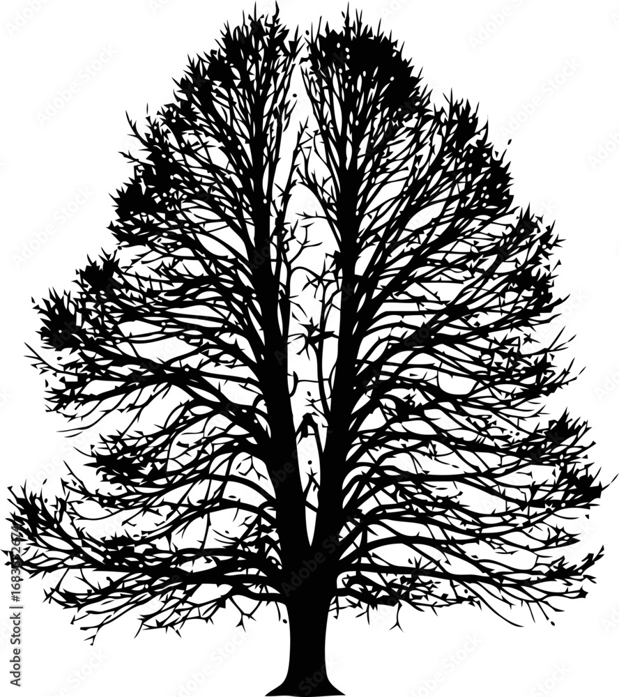 Obraz premium black tree silhouette winters stark elegance, natures enduring spirit, resilient form, isolated on transparent background