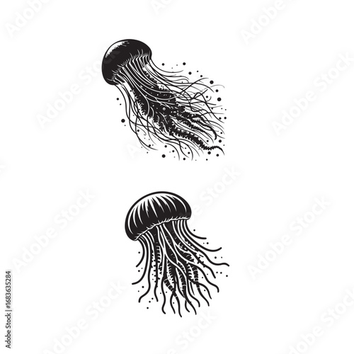 Jellyfish Silhouette – Vector Illustration Floating Jellyfish – Black and White Art Sea Creature Icon – Jellyfish Vector	