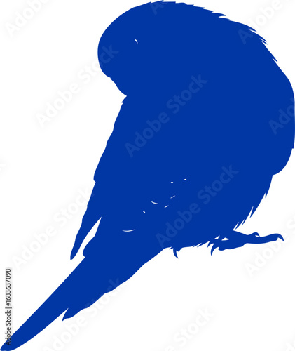 serene cobalt blue budgie silhouette a symbol of tranquil beauty and avian grace, isolated on transparent background