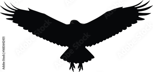 Majestic eagle silhouette spreading wings skyward vector