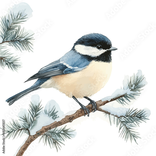 watercolor of Winter Bird Perched Branch, vector, isolated on a white background.
