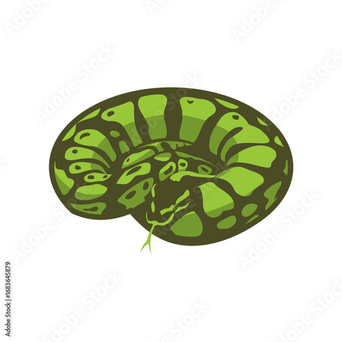 Vibrant green coiled snake illustration showcasing intricate scale patterns and a striking serpentine form, ideal for nature-themed designs