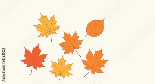 Collection of Vibrant Autumn Leaves in Shades of Orange and Yellow Featuring Maple and Other Tree Species for Seasonal Design, Nature Inspiration, and Eco Themes