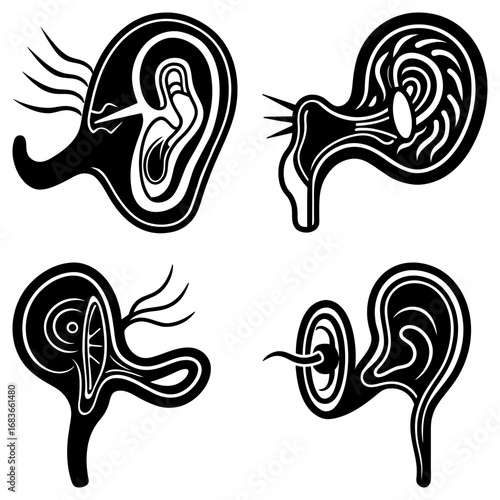 Four stylized black and white illustrations of human ears with varying internal structures shown clearly