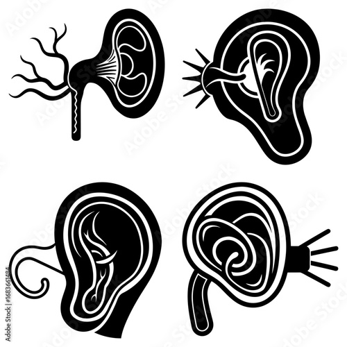 Illustration showing four different stylized human ears in black and white anatomical representations