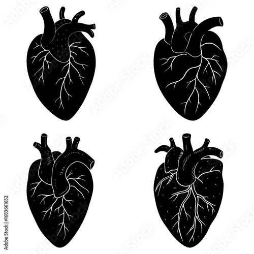 Four anatomical hearts in black and white with visible veins and arteries in a repeating pattern layout