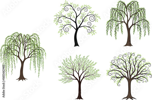 Stylized willow and curly branch tree vector set, hand-drawn and colorful illustrations, perfect for nature design, botanical art, landscape projects, and decorative graphics
