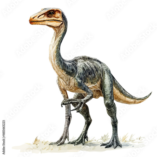 Troodon, watercolor vector, isolated on a white background.