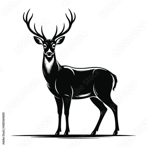 silhouette of a deer