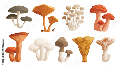 Assortment of colorful edible mushrooms in a charming collection perfect for culinary or educational illustrations and designs