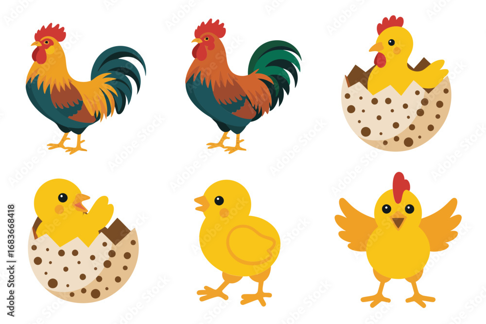 Fototapeta premium Farm rooster and hen vector illustrations, chicken, baby chicks, poultry icons, rural agriculture graphics, countryside lifestyle design set,