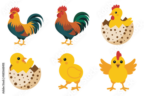 Farm rooster and hen vector illustrations, chicken, baby chicks, poultry icons, rural agriculture graphics, countryside lifestyle design set,