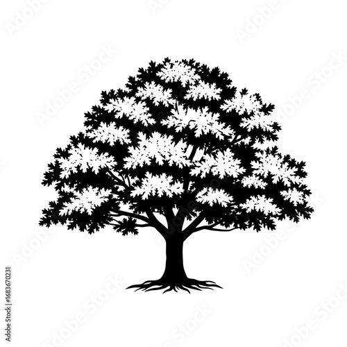 Silhouette of a full, healthy tree with detailed canopy and roots.
