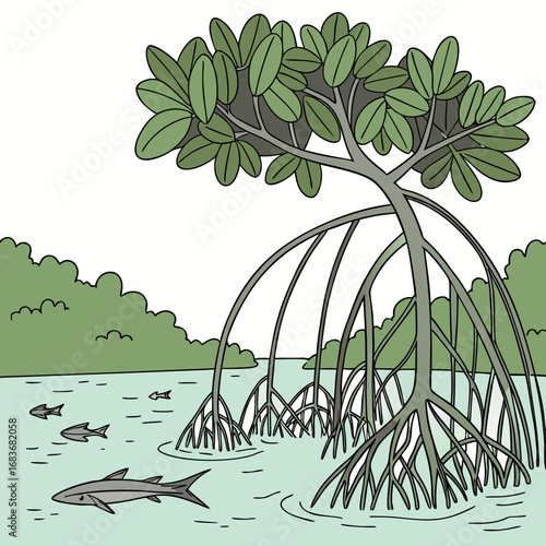 Illustration of a mangrove tree with aerial roots growing into the water with fish swimming around