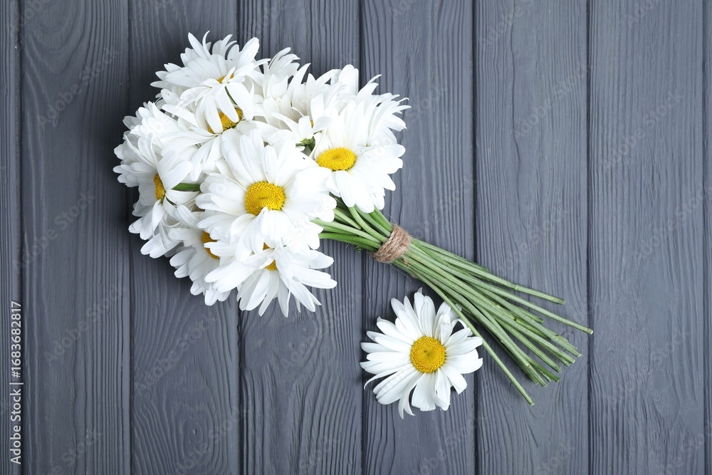 Obraz premium Bouquet of beautiful chamomile flowers on grey wooden table, top view