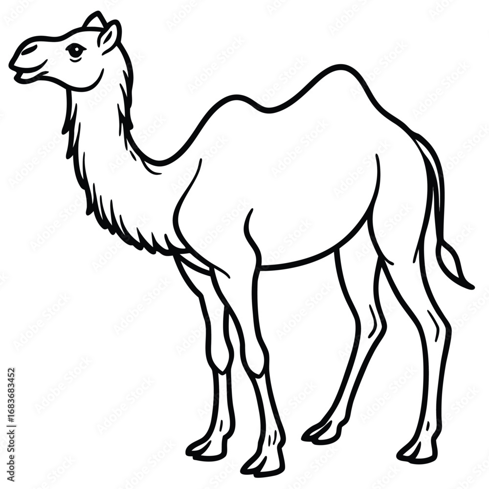 Fototapeta premium Animals