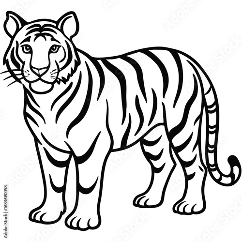 Animals
