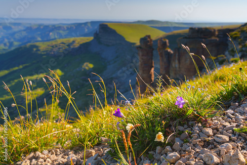 Foto A panoramic aerial view of the Two Monks rock from behind a hill covered with me
