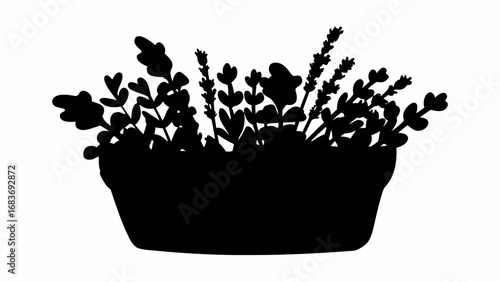 Silhouette of potted plants with various leaf shapes and flower spikes in a simple black and white design