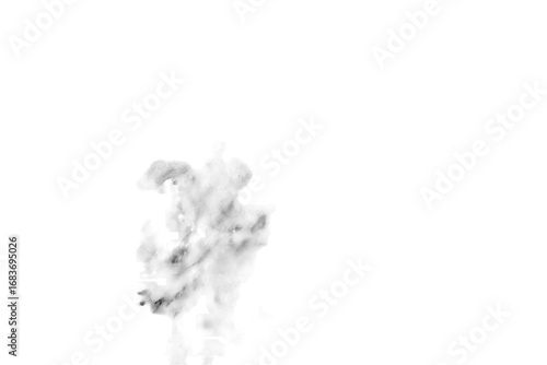 Wallpaper Mural Abstract grayscale splotch, textured and irregular, against a black background Torontodigital.ca