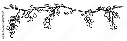 christmas garland with berries and leaves in outline drawing