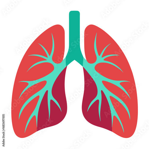 Vibrant stylized lungs illustration, a clear visual representation of respiratory health and medical science, perfect for healthcare and educational content