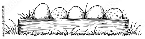 easter eggs in wooden box on grass in hand drawn outline