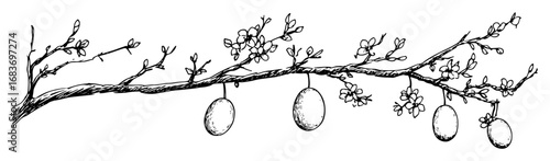 easter eggs hanging on blooming branch in outline drawing