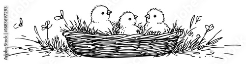 easter nest with cute chicks and flowers in hand drawn style