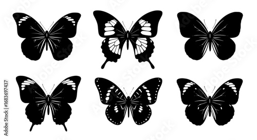 An exquisite illustration of six unique butterflies in monochrome. showcasing various wings patterns with a minimalist artistic aesthetic. vector illustration