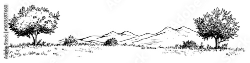peaceful landscape with trees and mountains in outline style