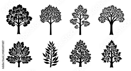 A collection of intricate silhouette trees showcases a spectrum of design, highlighting the elegance and diversity found in nature. vector illustration