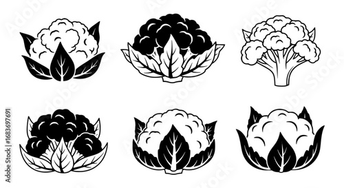 A collection of stylish and meticulously illustrated images of cauliflower variations, each presented with distinct leaf and stem, reflecting diverse shapes and forms for healthy food.