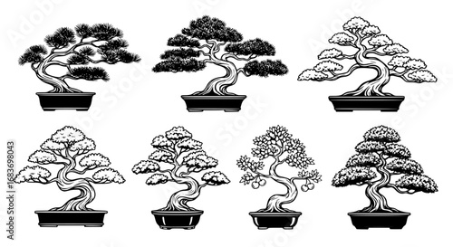 An artistic monochrome collection of bonsai trees, Each meticulously crafted and set in individual containers, showcases the captivating artistry of miniature landscapes.