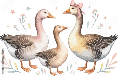 Delightful watercolor illustration of geese .