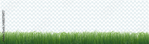 Green Grass Panorama Isolated Transparent Background