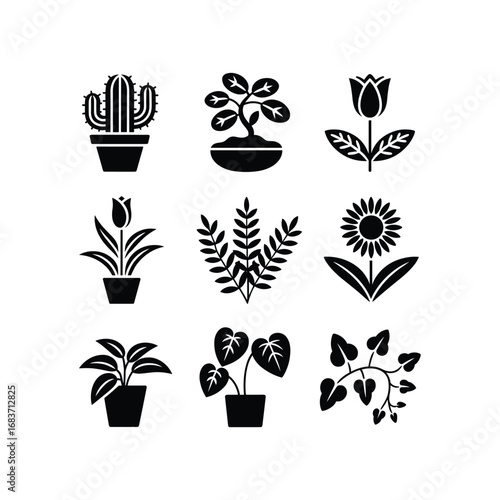 Collection of nine black silhouette potted houseplants and flowers on