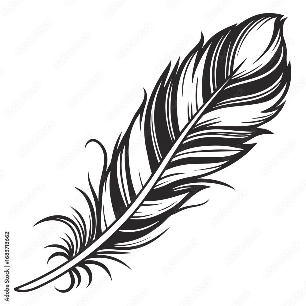 Obraz premium A detailed illustration of a feather with intricate barbs and a prominent quill in black and white style vector illustration