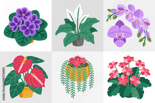 Orchid flowers and blooming houseplants vector set, tropical decorative illustration, colorful blossoms and greenery, exotic botanical art, natural garden inspiration, indoor decor